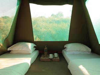 Jongomero Camp - Fly Camp Jongomero Camp - Fly Camp