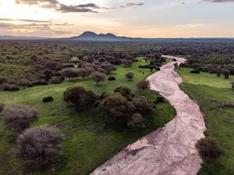 Jongomero Camp - Ruaha Szenerie Jongomero Camp - Ruaha Szenerie