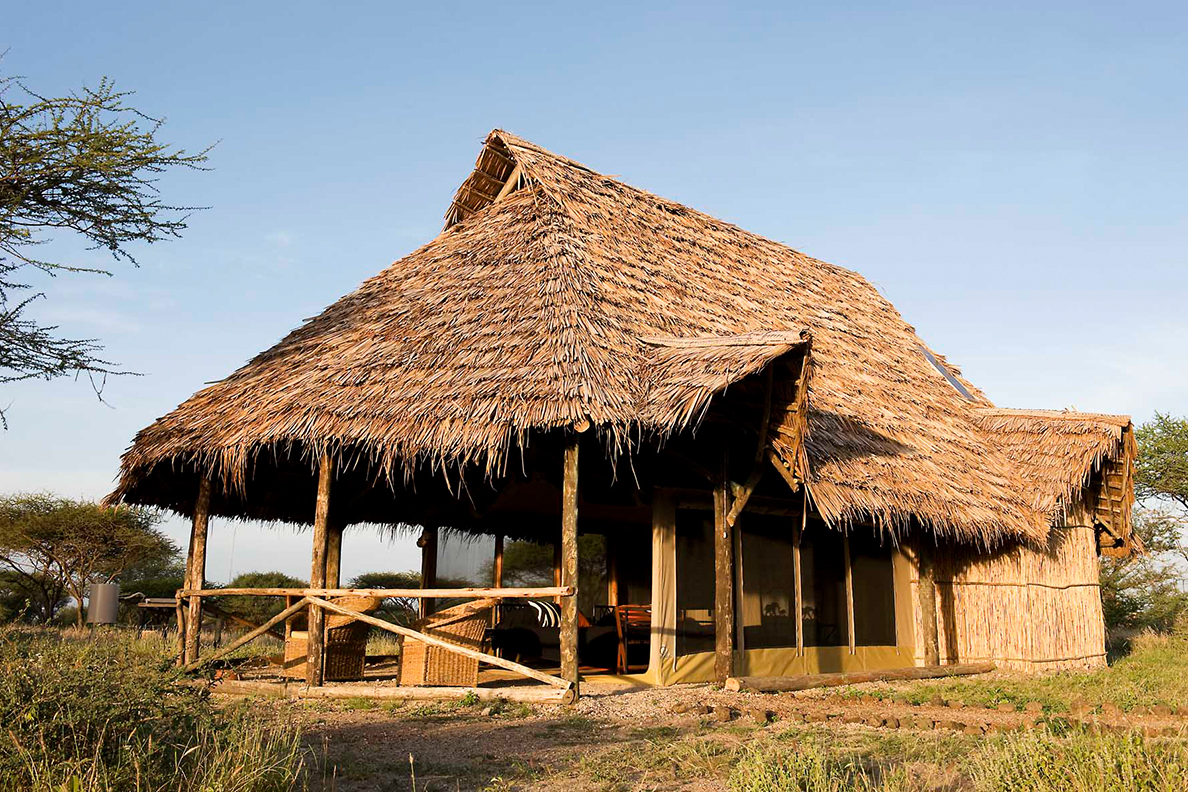 Kambi ya Tembo