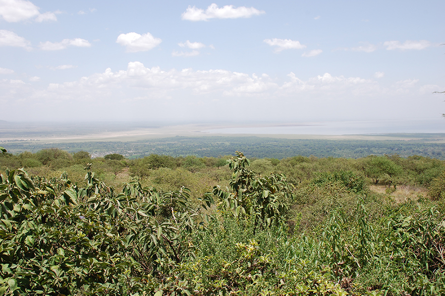 Kirurumu Manyara Lodge - Aussicht auf den Lake Manyara