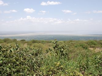 Kirurumu Manyara Lodge - Aussicht auf den Lake Manyara Kirurumu Manyara Lodge - Aussicht auf den Lake Manyara