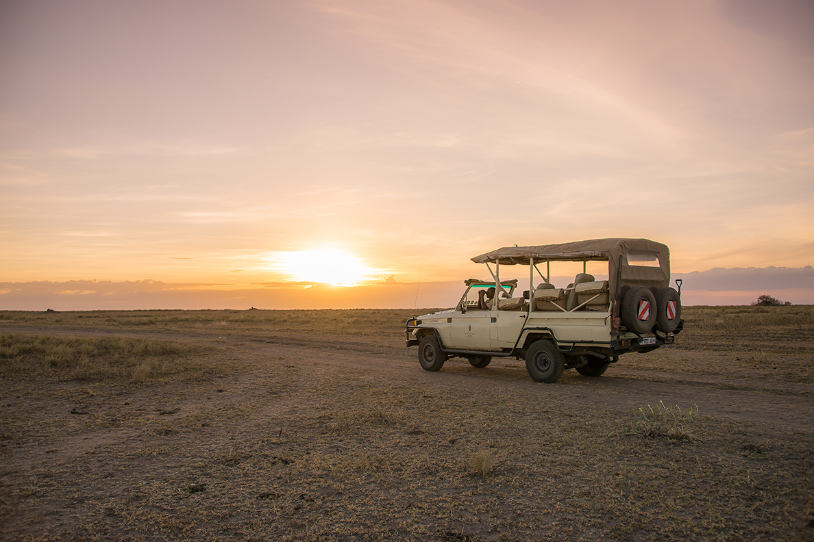Kusini Camp - Game Drive