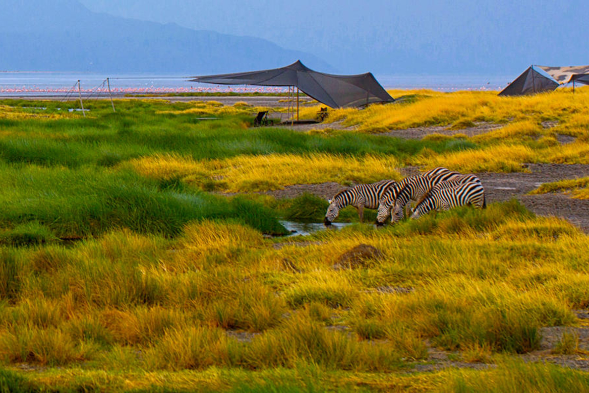 Lake Natron Camp