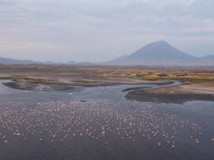 Lake Natron Camp