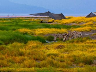 Lake Natron Camp Lake Natron Camp