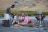 Lake Natron Camp Lake Natron Camp