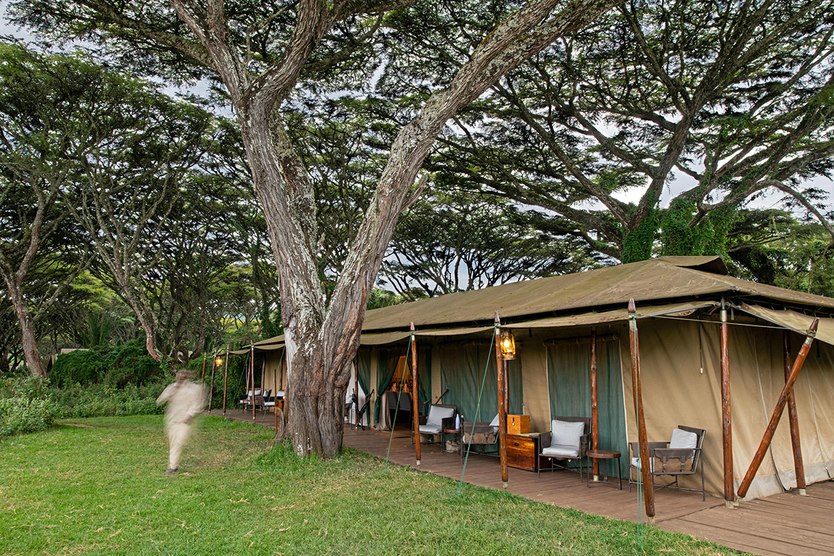 Lemala Ngorongoro Tented Camp