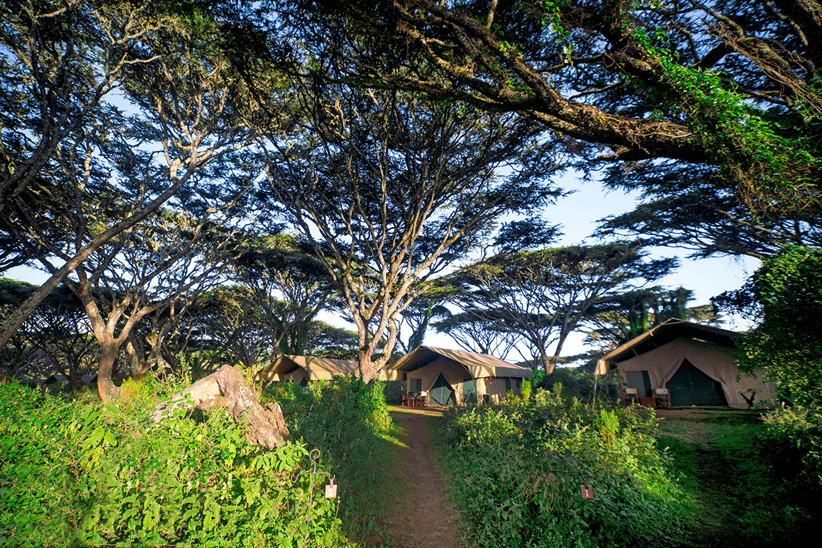Lemala Ngorongoro Tented Camp