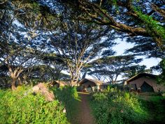 Lemala Ngorongoro Tented Camp