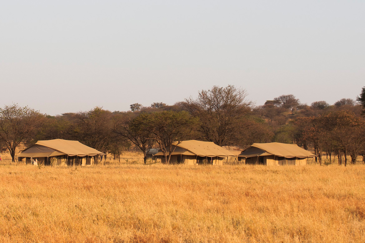 Mara Under Canvas
