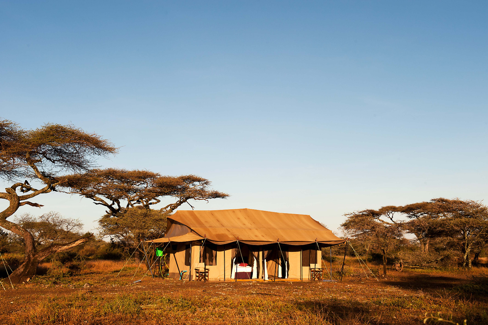 Mara Under Canvas