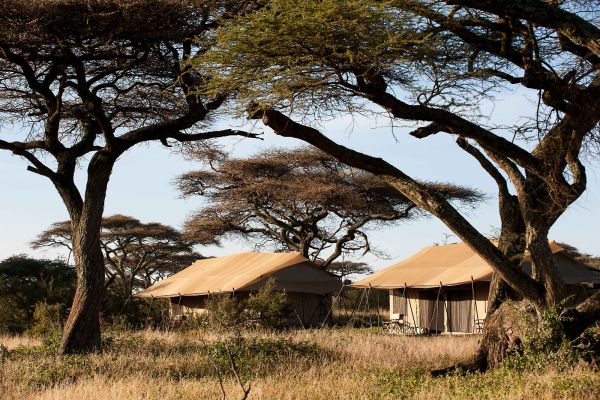 Mara Under Canvas 