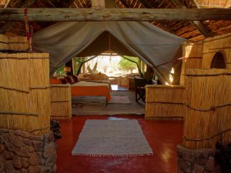 Mwagusi Safari Camp - Zelt-Zimmer Mwagusi Safari Camp - Zelt-Zimmer