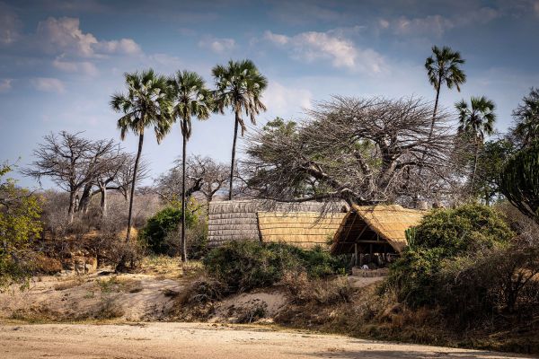 Mwagusi Safari Camp