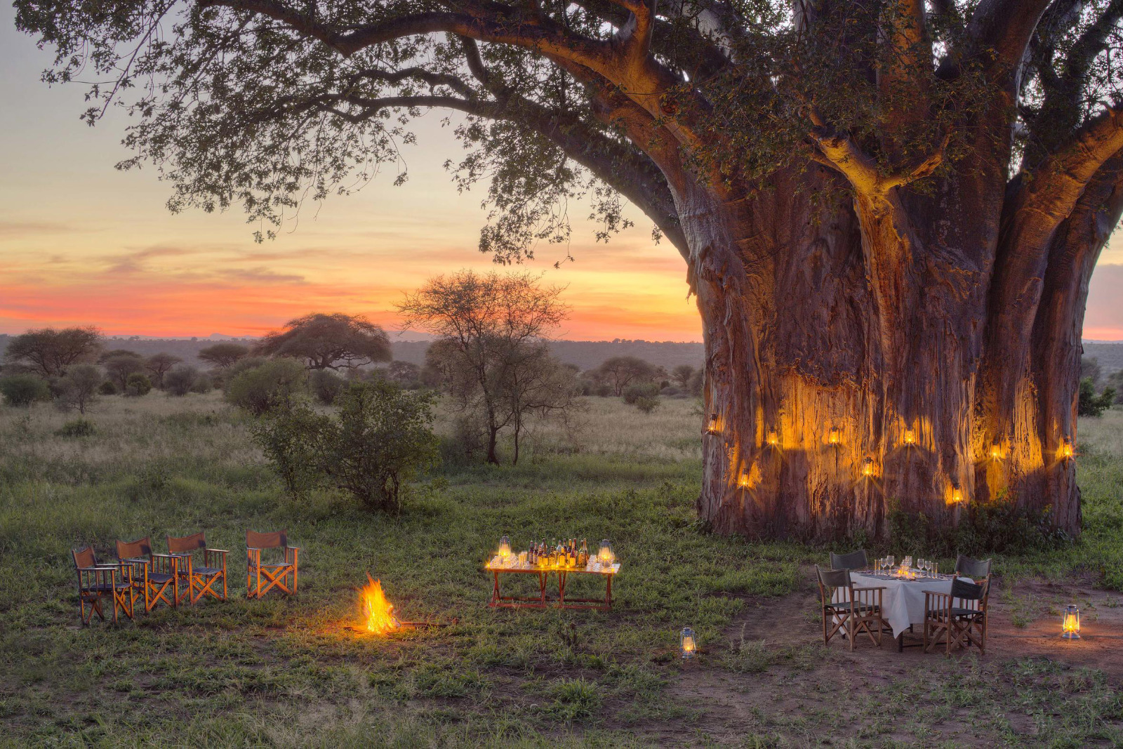 Nasikia Tarangire Ndovu Camp