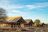 Nasikia Tarangire Ndovu Camp