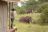 Nasikia Tarangire Ndovu Camp