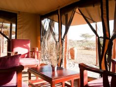 Ndutu Under Canvas