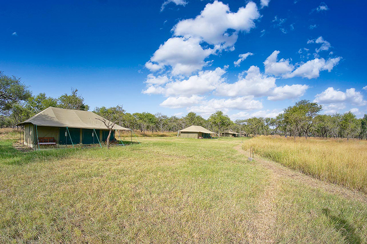Naona Moru Camp, Serengeti