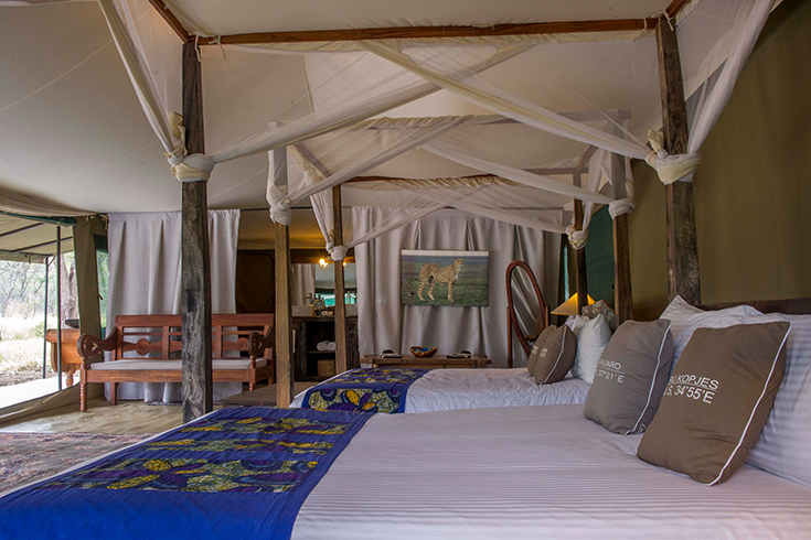 Naona Moru Camp, Zelt