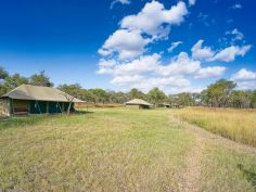 Naona Moru Camp, Serengeti