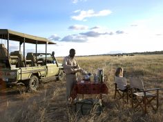 Oliver's Camp, Picnic beim Game Drive