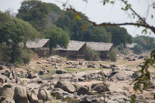 Ruaha River Lodge