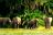 Rubondo Island Camp - Elefanten am See