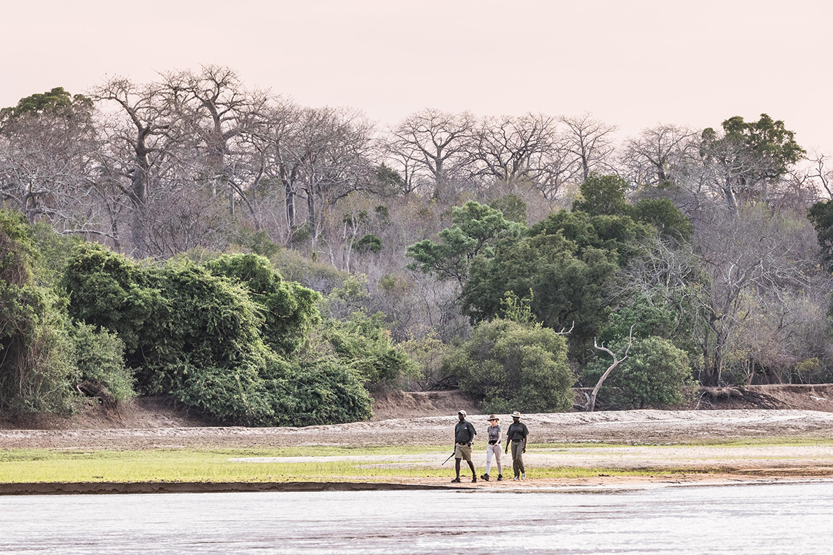Sand Rivers - Walking Safaris