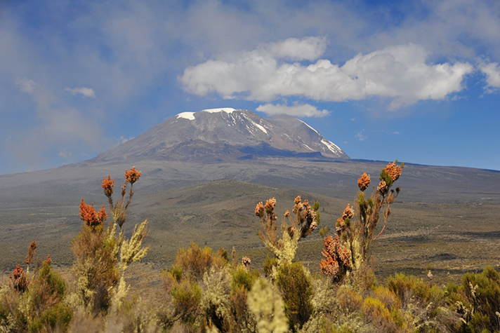 Shu'Mata, Aussicht auf den Kilimanjaro