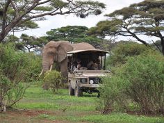 Shu'Mata Game Drive