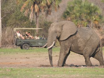Laba Siwandu - Game Drive Laba Siwandu - Game Drive