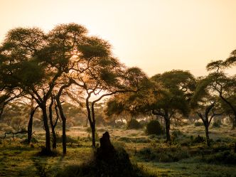 Sanctuary Swala Tented Camp Sanctuary Swala Tented Camp