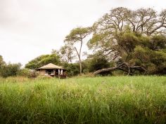 Sanctuary Swala Tented Camp