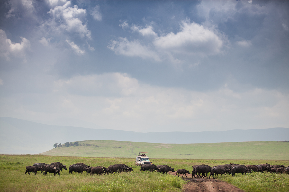 The Manor at Ngorongoro - Fahrt in der Ngorongoro Conservation Area