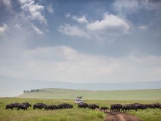 The Manor at Ngorongoro - Fahrt in der Ngorongoro Conservation Area