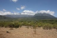 Arusha