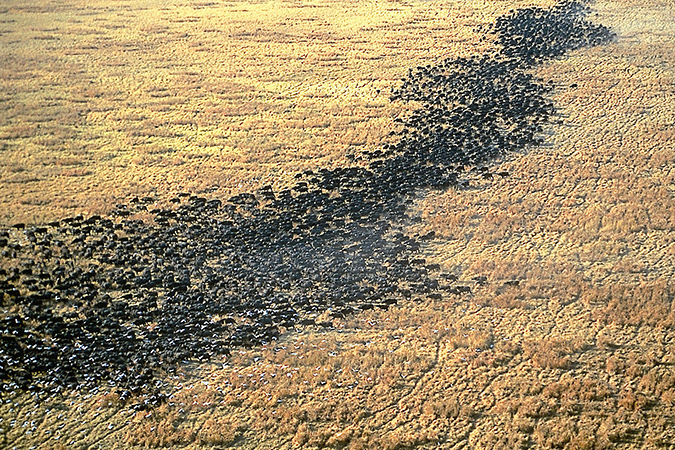Katavi National Park (Foto © Nomad Tanzania)