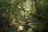 Mahale Mountain National Park, Schimpansen-Trek