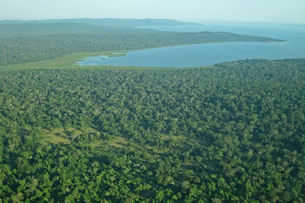 Rubondo Island National Park