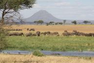 Tarangire National Park