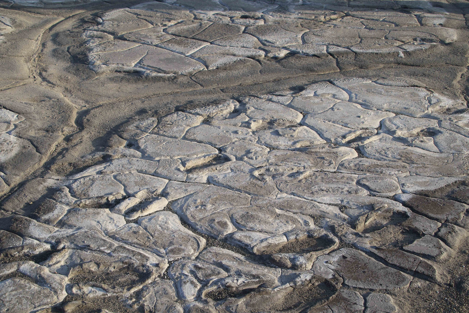 Lake Natron - fossilie Fussspuren
