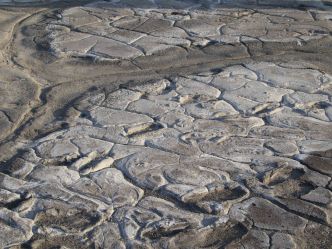 Lake Natron - fossilie Fussspuren Lake Natron - fossilie Fussspuren