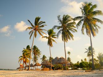 Mafia Island, Strand bei Mafia Island Lodge Mafia Island, Strand bei Mafia Island Lodge