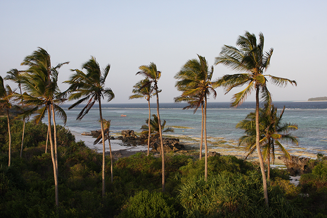 Zanzibar Küste