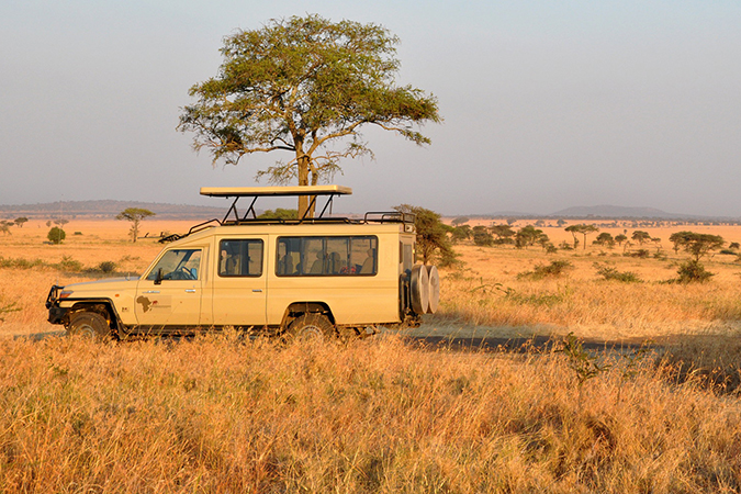 Tanzania Camping Experience