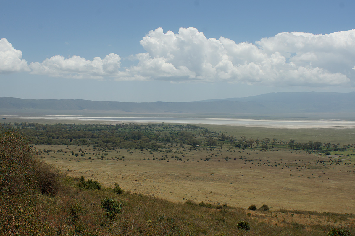 Ngorongoro Krater