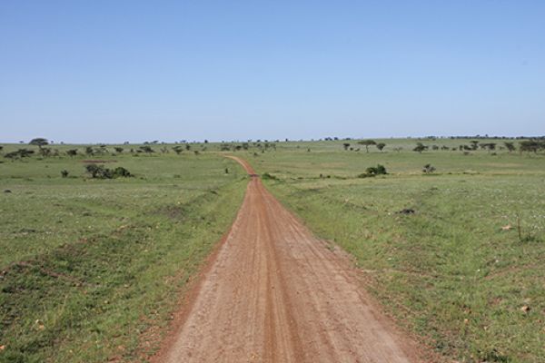 Beeindruckendes Tanzania - Lodge Safari
