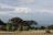 Parks of Tanzania &amp; Kenya, Sicht auf den Mt. Kilimanjaro im Amboseli National Park