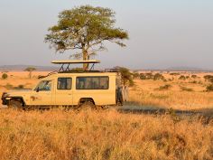 Parks of Tanzania & Kenya, Fahrzeug in der Serengeti
